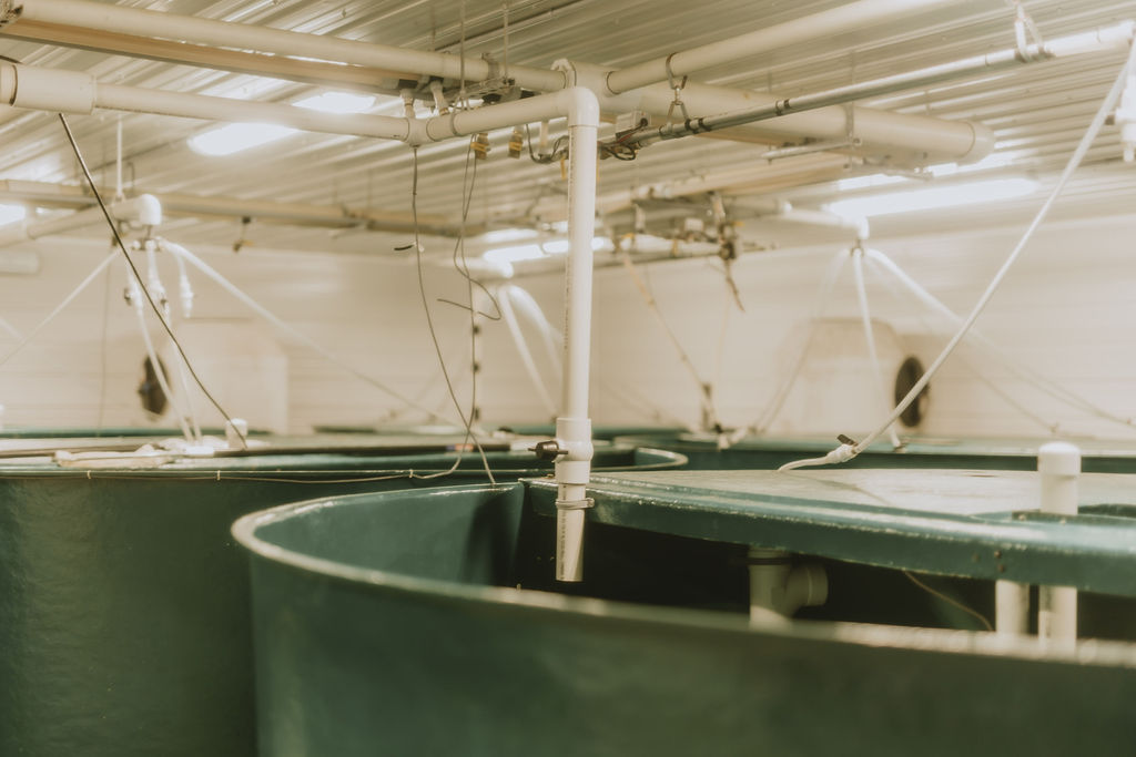 Reviews - What our customers say about Griffin Plumbing | We provide top-notch plumbing and heating services while fostering good client relationships.